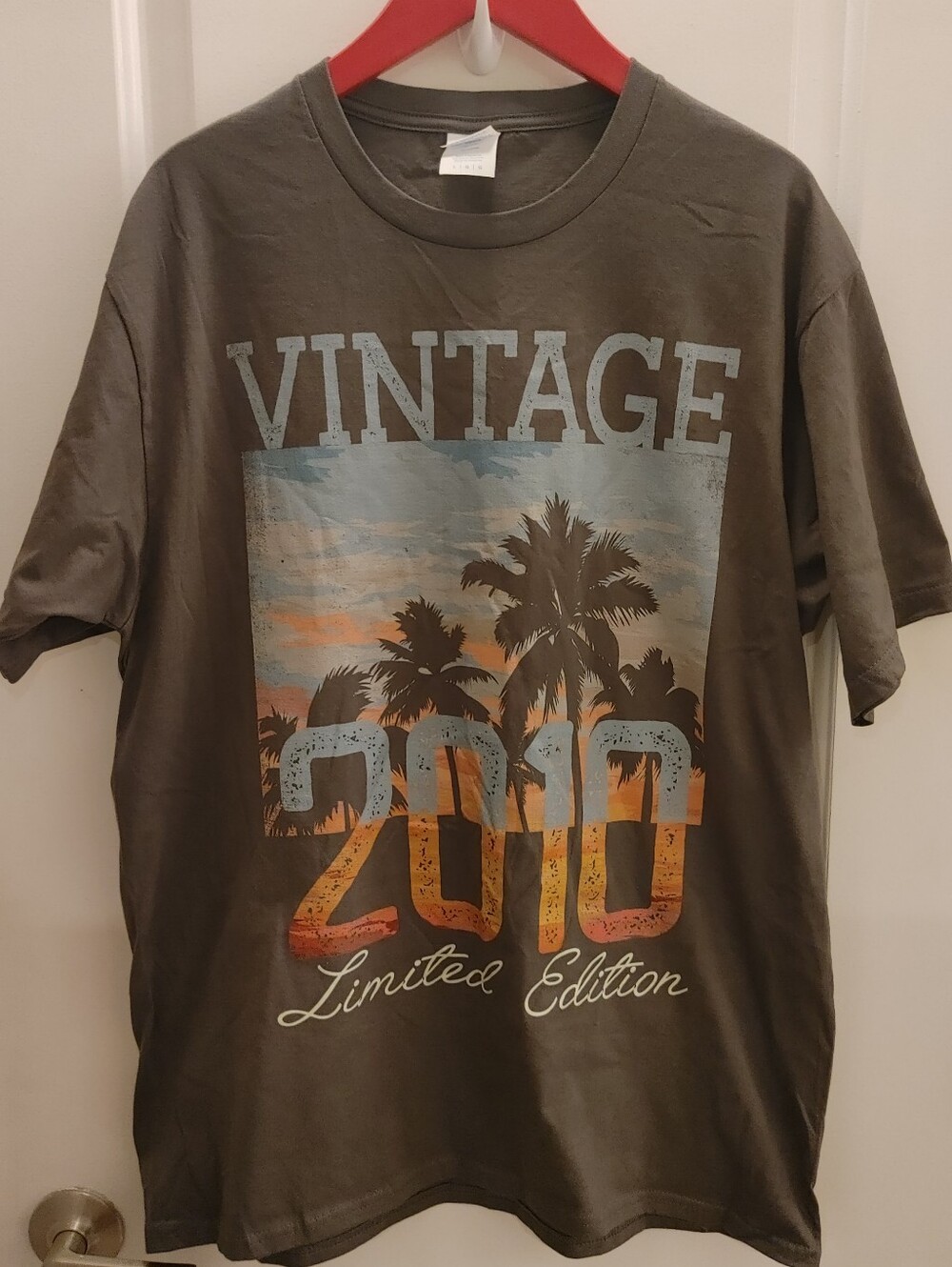 Grey "Vintage 2010 Limited Edition" Men’s Graphic T-Shirt - Large